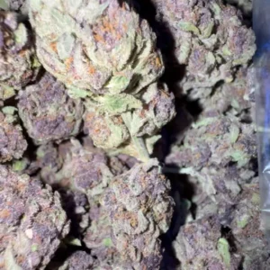Purple Jedi